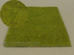 Model scene F010 Wetland light