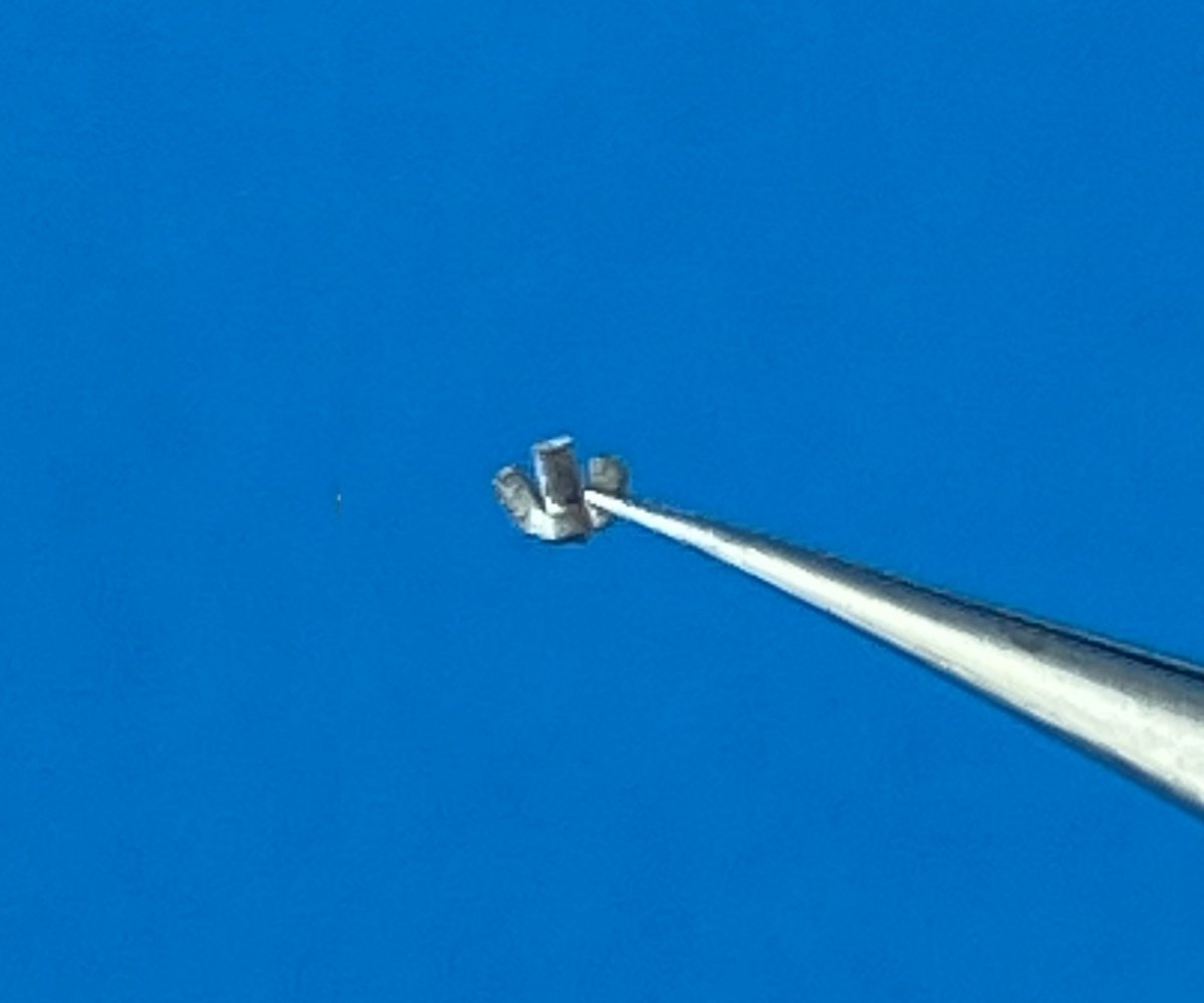 Point of no Return 1623001 Nakrętki motylkowe M6 / M6 wing nuts 1/16 – immagine 6