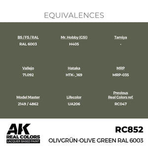 AK Interactive RC852 Vert olive RAL 6003 17 ml – image 3