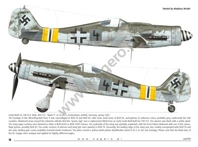 Kagero 97005 JG 2. Jagdgeschwader &amp;quot;Richthofen&amp;quot; (decals) EN – immagine 3