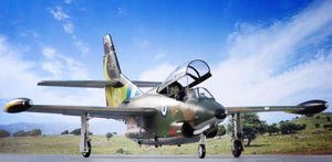 Special Hobby 32087 T-2 Buckeye Anniversary Markings 1/32 – immagine 16