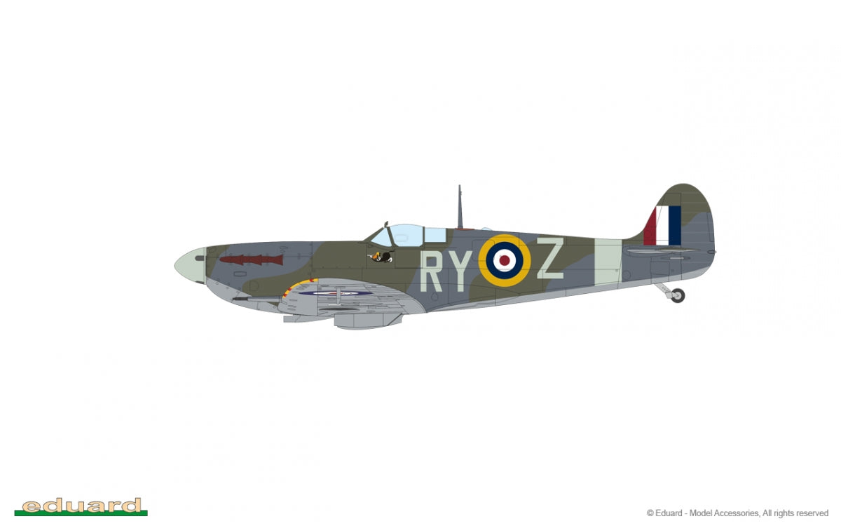 Eduard 84198 Spitfire Mk. Vb early 1/48 – immagine 15