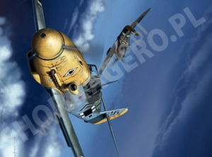 Kagero 7076 Messerschmitt Bf 109 F EN/PL – Bild 2