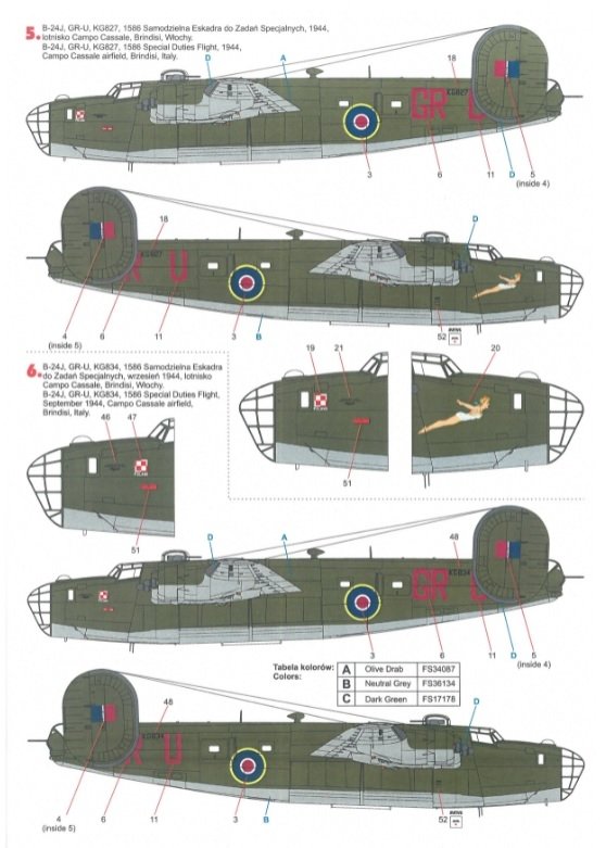 Techmod 48823 B-24 Liberator 1/48 – imagen 6