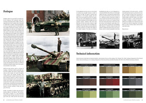 AK Interactive AK403 1945 GERMAN COLORS. CAMOUFLAGE PROFILE GUIDE (English) – immagine 3