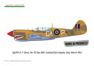 Eduard R0025 P-40N WARHAWK ROYAL CLASS DUAL COMBO 1/48 – image 6