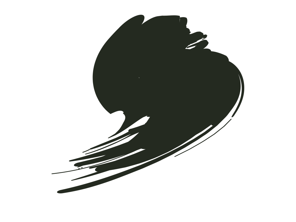Hataka HTK-A015 Noir-Vert (RLM70)
