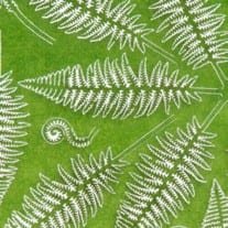 AK Interactive AK8134 FERN 1/32 AND 1/35 – immagine 2