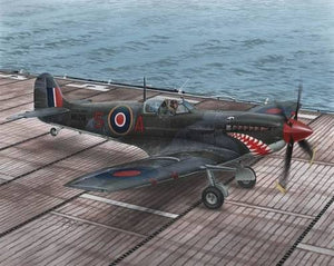 Special Hobby 48102 Supermarine Seafire Mk.II Torch &amp;amp; Avalanche 1/48