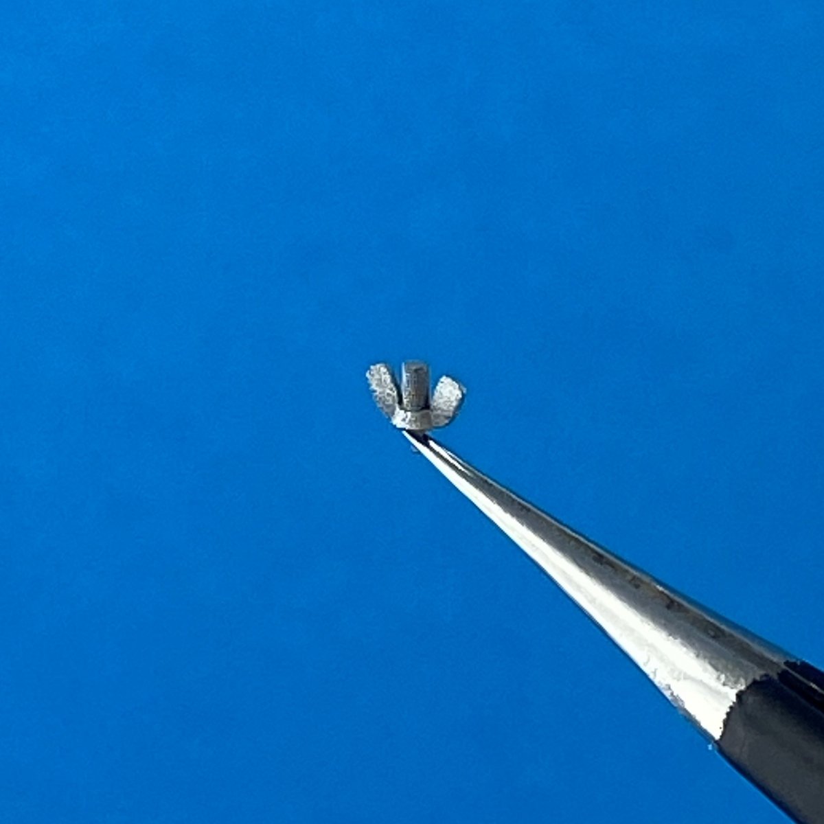 Point of no Return 1623002 Nakrętki motylkowe M8 / M8 wing nuts 1/16 – immagine 6