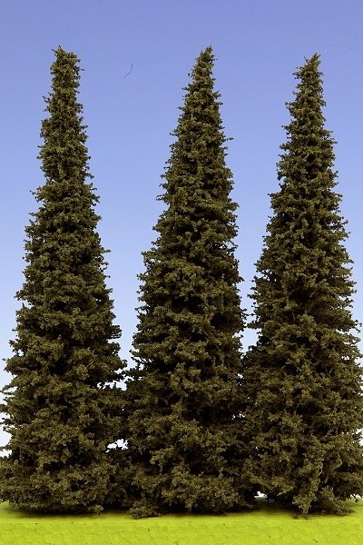 Model Scene SM200 Spruce 200 mm Spruce ( 3pcs )