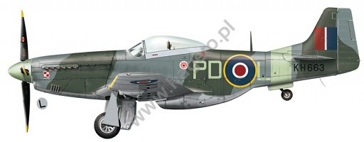 Kagero KD48003 Mustangs over Europe Part 1 Nos. 303 &amp;amp; 309 Squadrons 1/48 – immagine 6