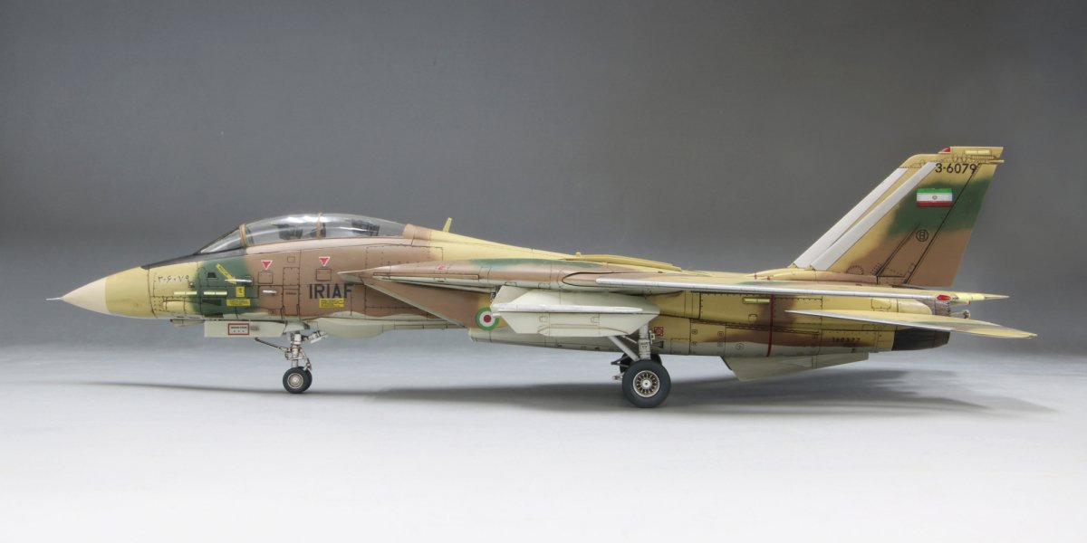 Fine Molds 72936 F-14A TOMCAT IRIAF 1/72 – immagine 6