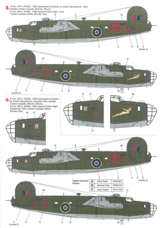 Techmod 72163 B-24 Liberator 1/72 – immagine 5