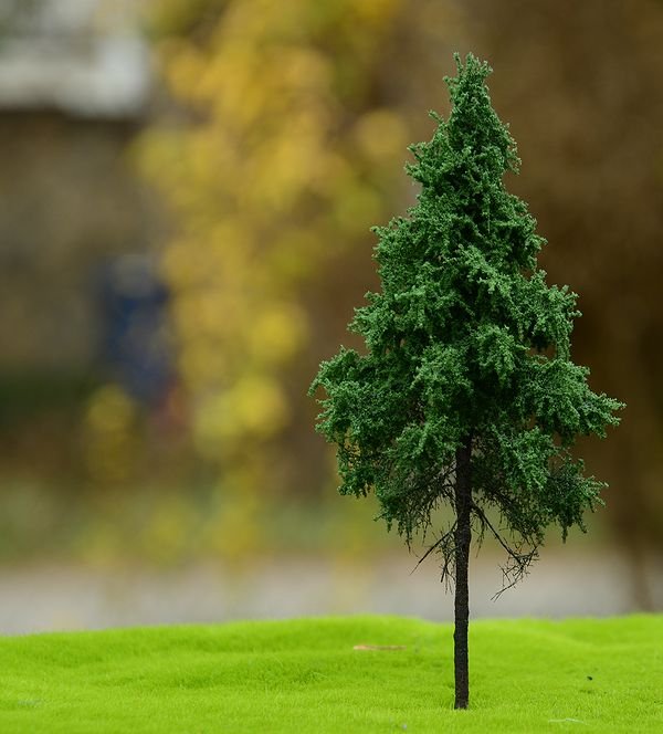 FREON SWP2 Norway spruce - Świerk Pospolity pień wysoki (leśny) 14/16cm