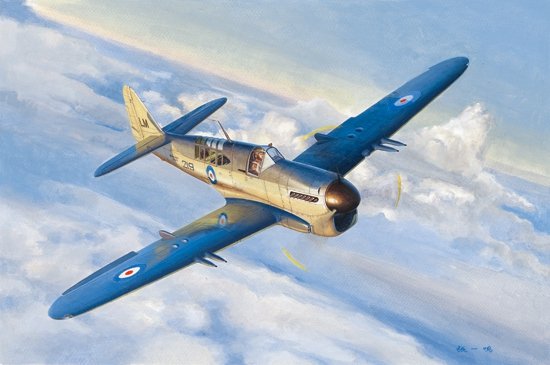 Trumpeter 05810 Fairey Firefly Mk.1 1/48
