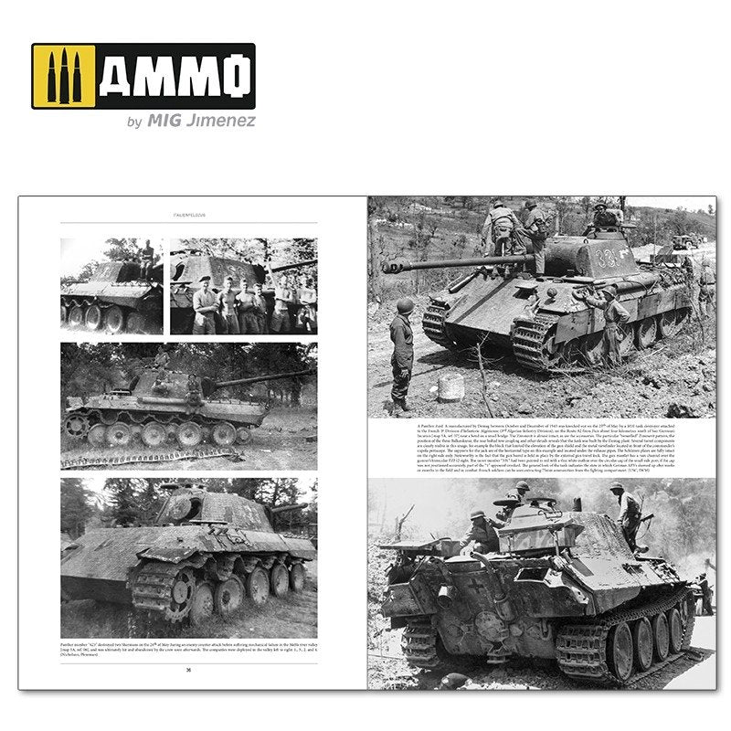 Ammo of Mig 6263 ITALIENFELDZUG. German Tanks and Vehicles 1943-1945 Vol. 2 – zdjęcie 3