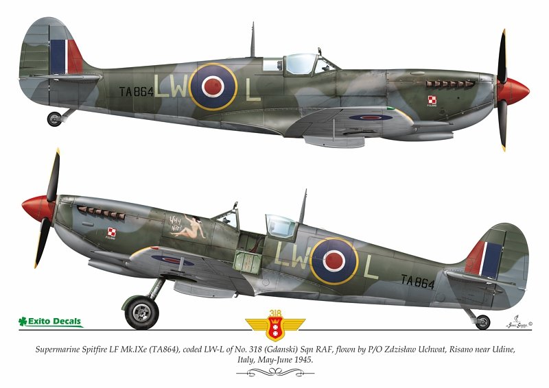 Exito ED72003 DECALS Sexy Spitfires - Supermarine Spitfire LF Mk Vb - VIII - IXe 1/72 – immagine 5