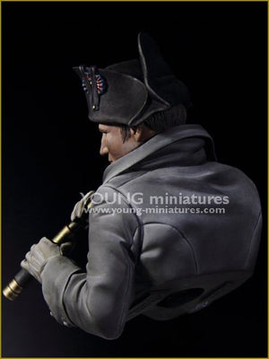 Young Miniatures YH1846 NAPOLEON at Austerliz 1/10 – image 5