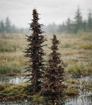 Model Scene SP099 Standing Dead Spruces - 7/10cm – imagen 2