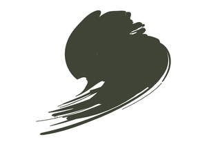 Hataka B016 Dark Green (FS34079, ANA 631) 10ml