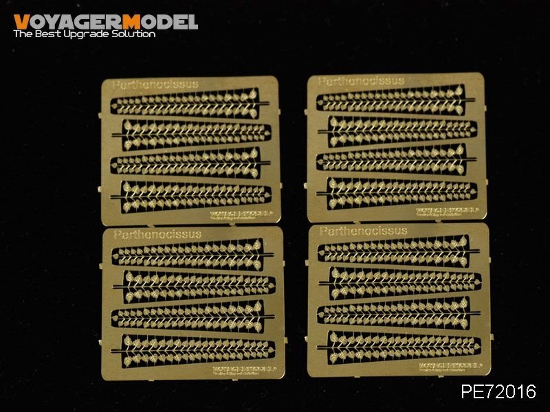 Voyager modèle PE72016 Parthenocissus pour tous 1/72