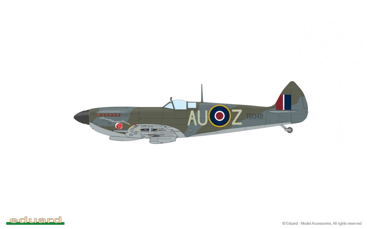 Eduard 8286 Spitfire Mk. XVI High Back 1/48 – immagine 16
