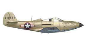 Arma Hobby 40010 P-39Q Airacobra 1/48 – immagine 3