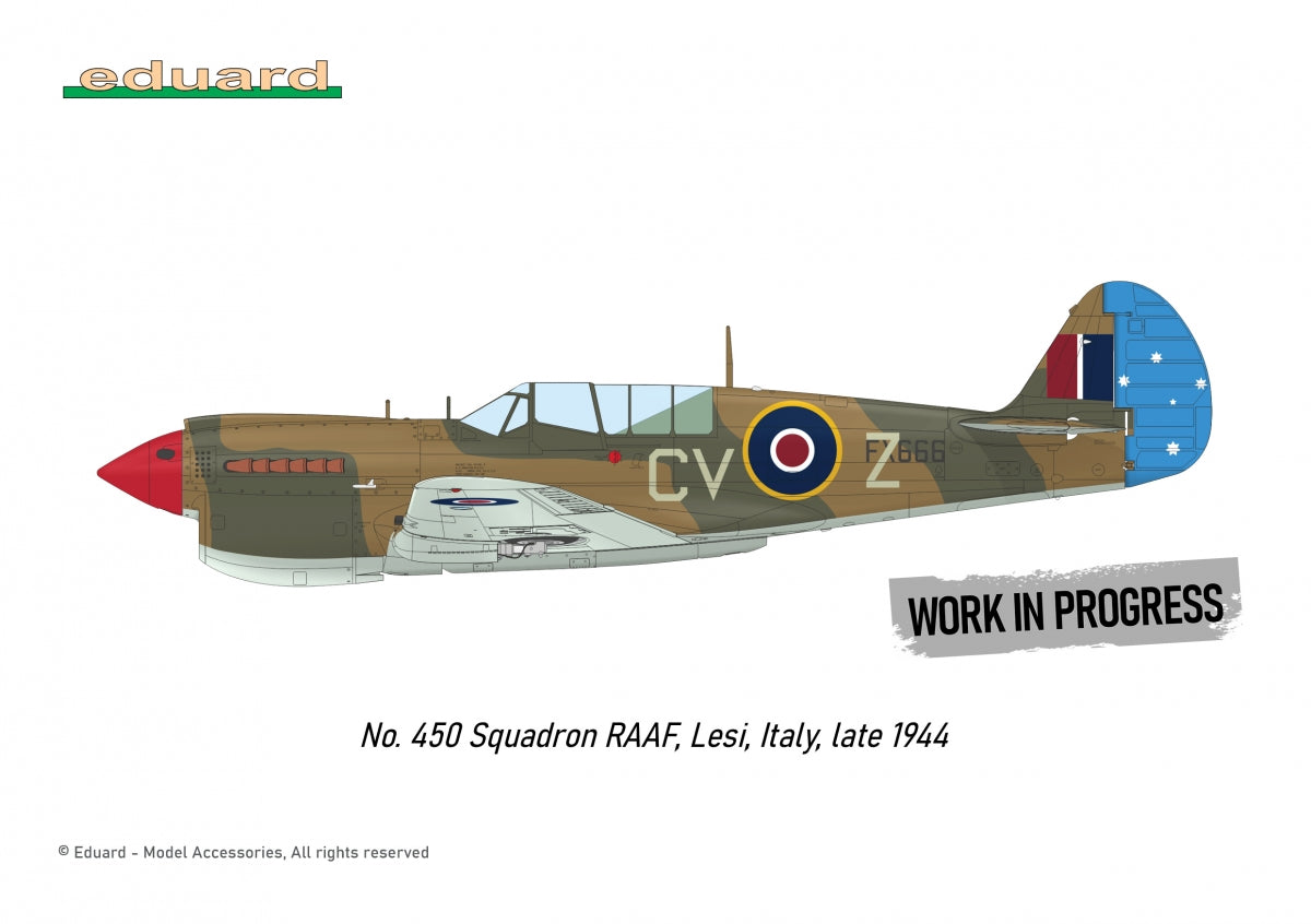 Eduard R0025 P-40N WARHAWK ROYAL CLASS DUAL COMBO 1/48 – image 4