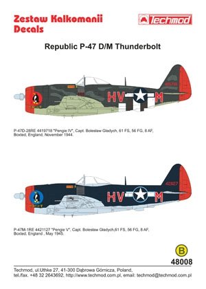 Techmod 48008 - Republic P-47D/M Thunderbolt 1/48 – immagine 2