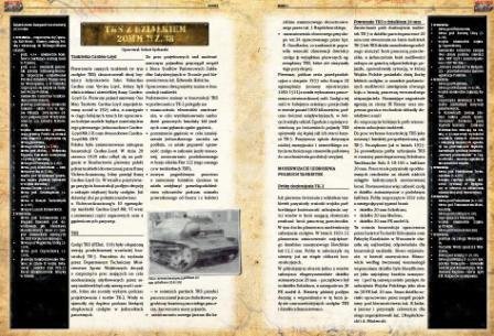 First To Fight PL001 - TKS 20mm 1/72 – immagine 4