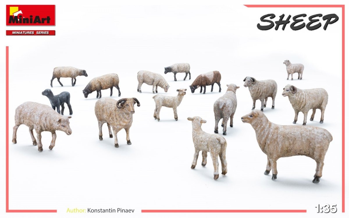 MiniArt 38042 SHEEP 1/35 – immagine 6