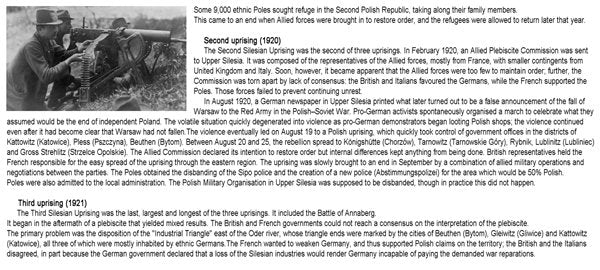 ToRo Model 35F118 Powstanie Śląskie - Ranny Powstaniec / Silesian Uprising 1921 Wounded insurgent 1/35 – zdjęcie 4