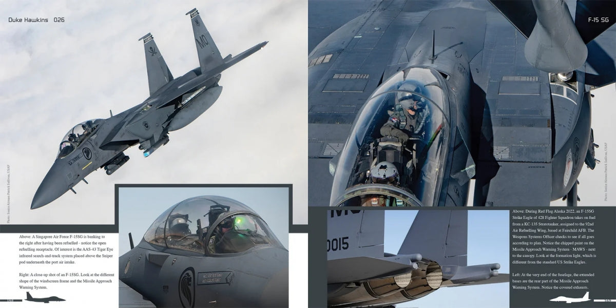 HMH Publications DH-026 Boeing F-15 E/K/SG Strike Eagle - Aircraft in Detail 026 (English Version) – immagine 11