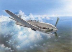 Specjal Hobby 32045 Heinkel He 100D Soviet and Japanes 1/32