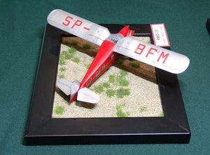 RS Models 94099 RWD-13ST Polish Touring Plane 1/72 – immagine 7