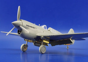 Eduard 49314 P-40E 1/48 Hasegawa – image 11