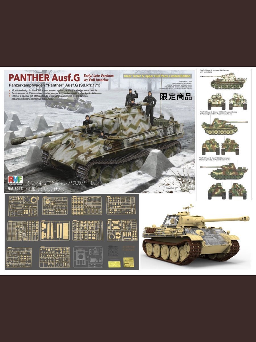 Rye Field Model 5016 Panther Ausf.G Early/Late w/full interior 1/35 – immagine 2