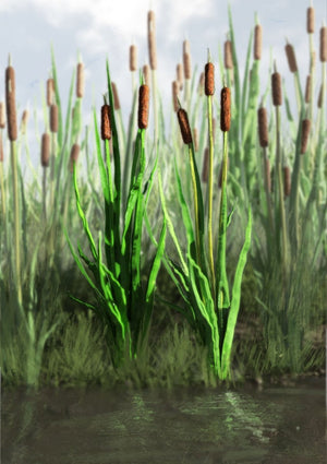 RT-Diorama 35400 Cattail Grass 1/35 – zdjęcie 2