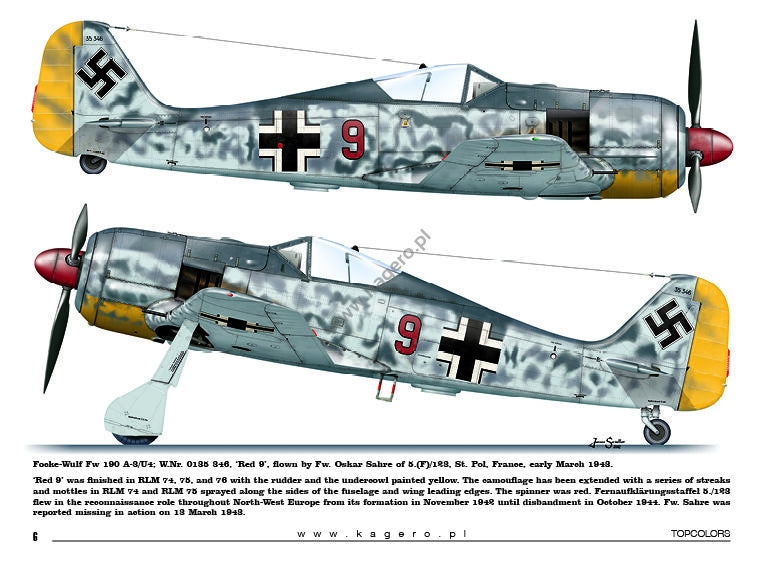 Kagero 15035 Fw 190s over Europe Part I (kalkomania/decals) EN/PL – immagine 5