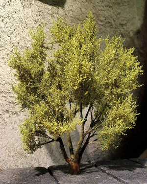 FREON WRB1 Willow Wierzba Biała 15/17cm – immagine 2