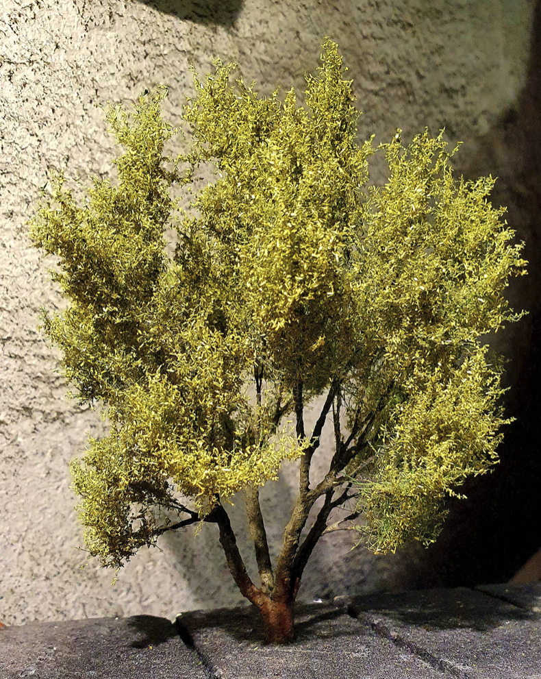 FREON WRB1 Willow Wierzba Biała 15/17cm – immagine 2