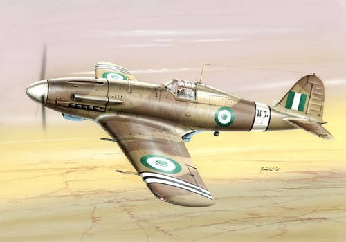 Special Hobby 48087 Fiat G.55A Service d'après-guerre (1/48)