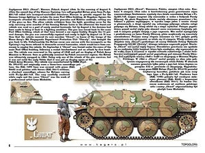 Kagero 15039 Panzers capturés, véhicules allemands au service des Alliés (décalcomanie) PL/EN – image 2