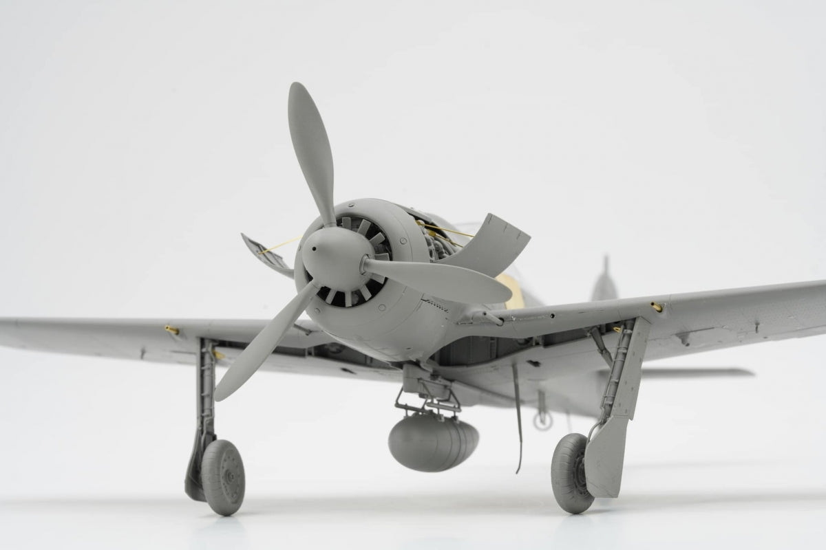 Border Model BF-009 Focke-Wulf FW-190A-8 4 in 1 (R2; R6; R7; R8) 1/35 – immagine 9