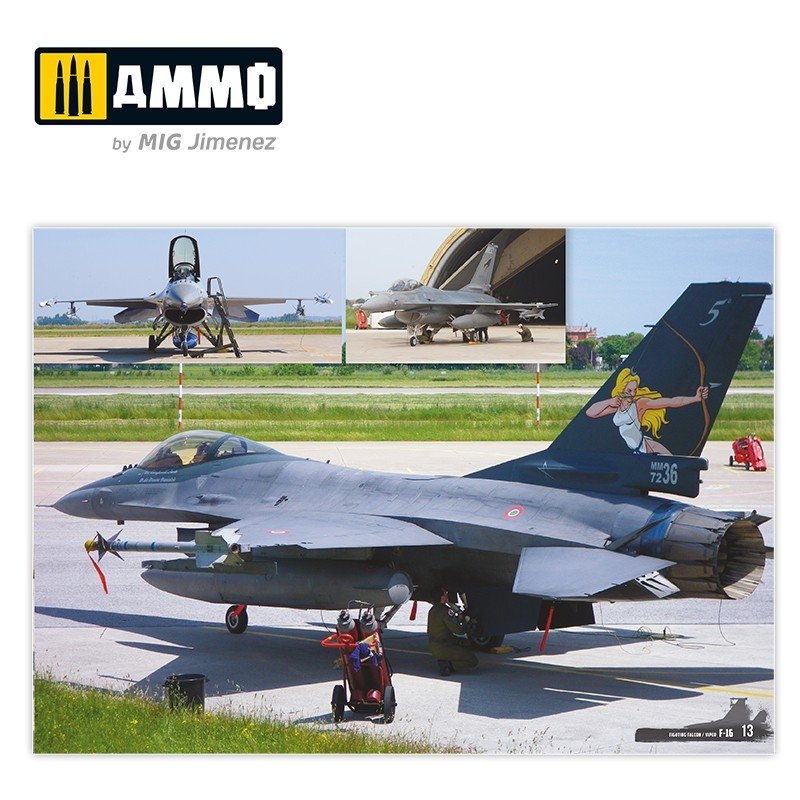 AMMO of Mig Jimenez 6029 F-16 Fighting Falcon / VIPER. Visual Modelers Guide Multilingüal (Eng, Spa, Ita) – immagine 4
