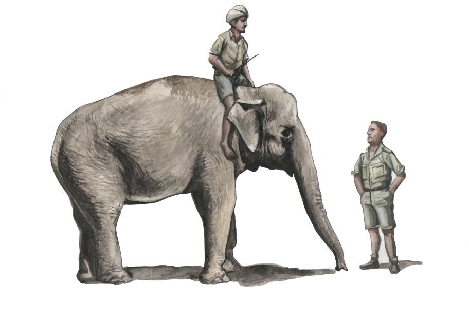 CMK F48345 WWII RAF Mechanic in India + Elephant with Mahout 1/48 – immagine 3