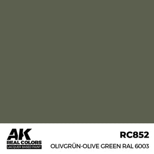 AK Interactive RC852 Vert olive RAL 6003 17 ml