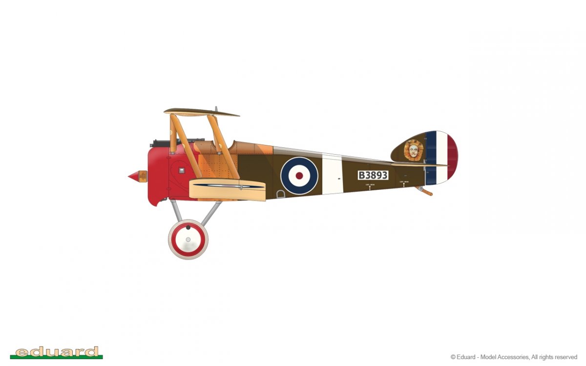 Eduard 11151 Camel &amp;amp; Co. 1/48 – image 22