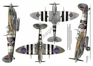 Kagero 7029 Supermarine Spitfire Mk. IX/XVI and other EN/PL – immagine 4